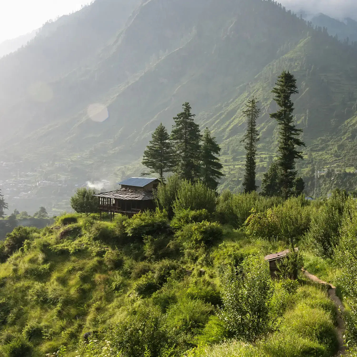 2 Nights 3 Days Tour from New Delhi to Shimla