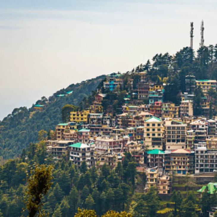 River in pine forest, perfect travel escape