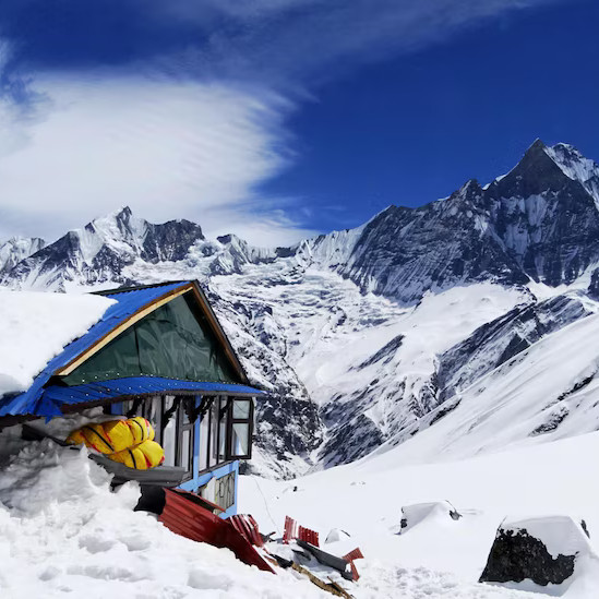 River in pine forest, perfect travel escape