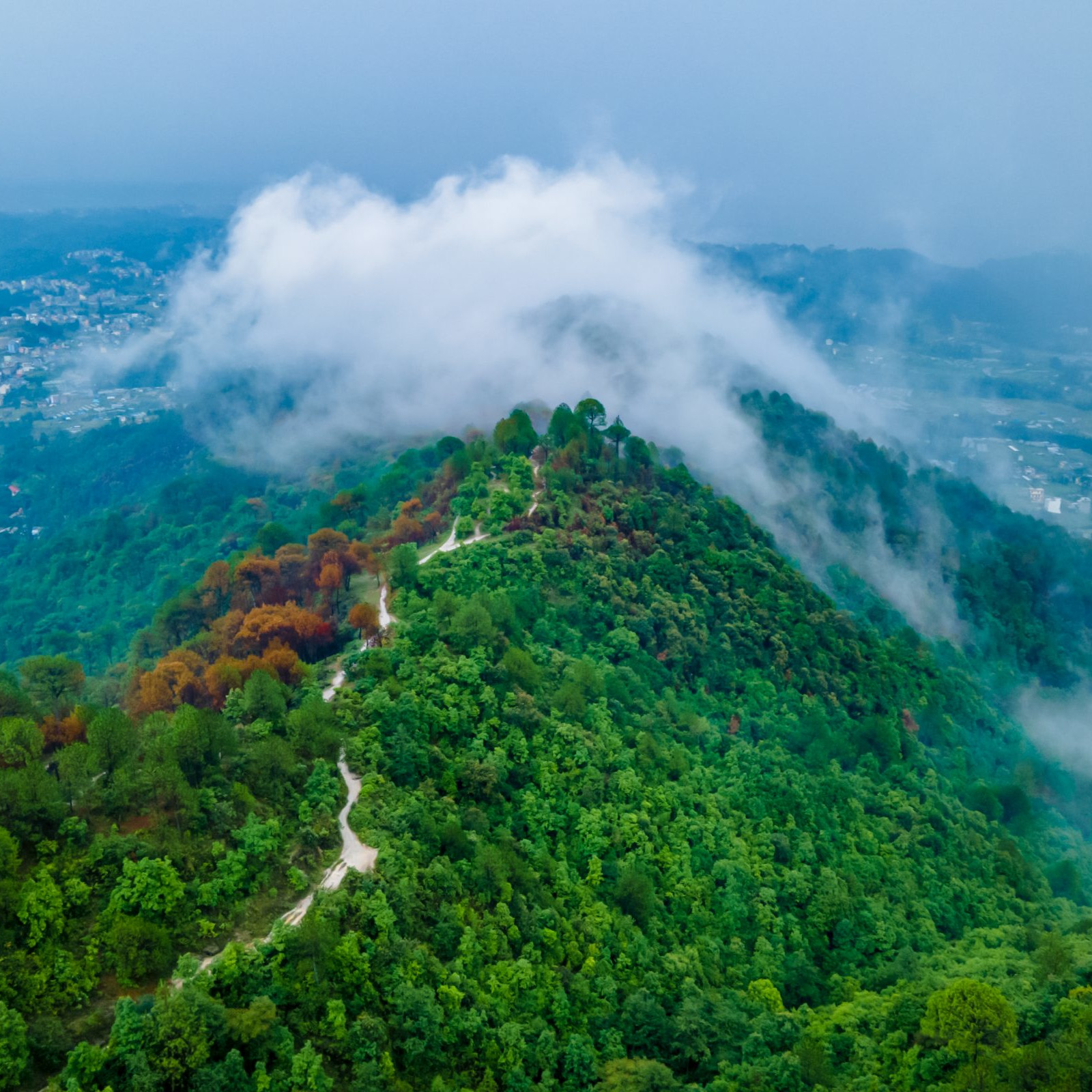 Peaks & Prayers: Chopta-Chandrashila to Auli Adventure(Per Person)