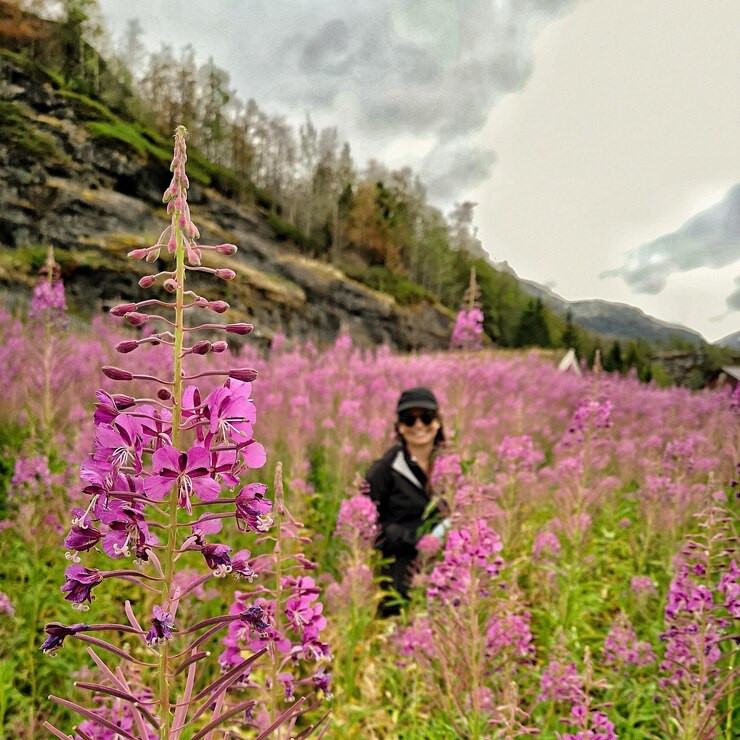 Misty mountain town for a peaceful travel holiday
