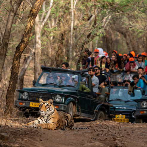 Himalayan village with temple for adventure travel