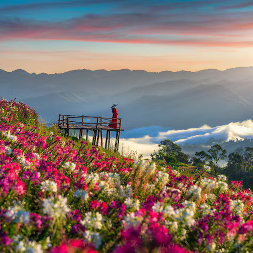 River in pine forest, perfect travel escape