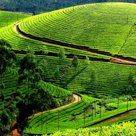 Misty mountain town for a peaceful travel holiday