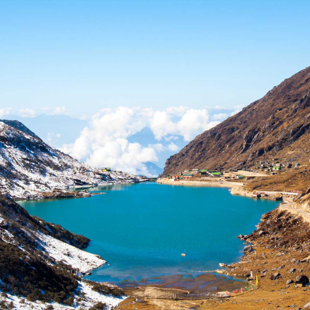 River in pine forest, perfect travel escape