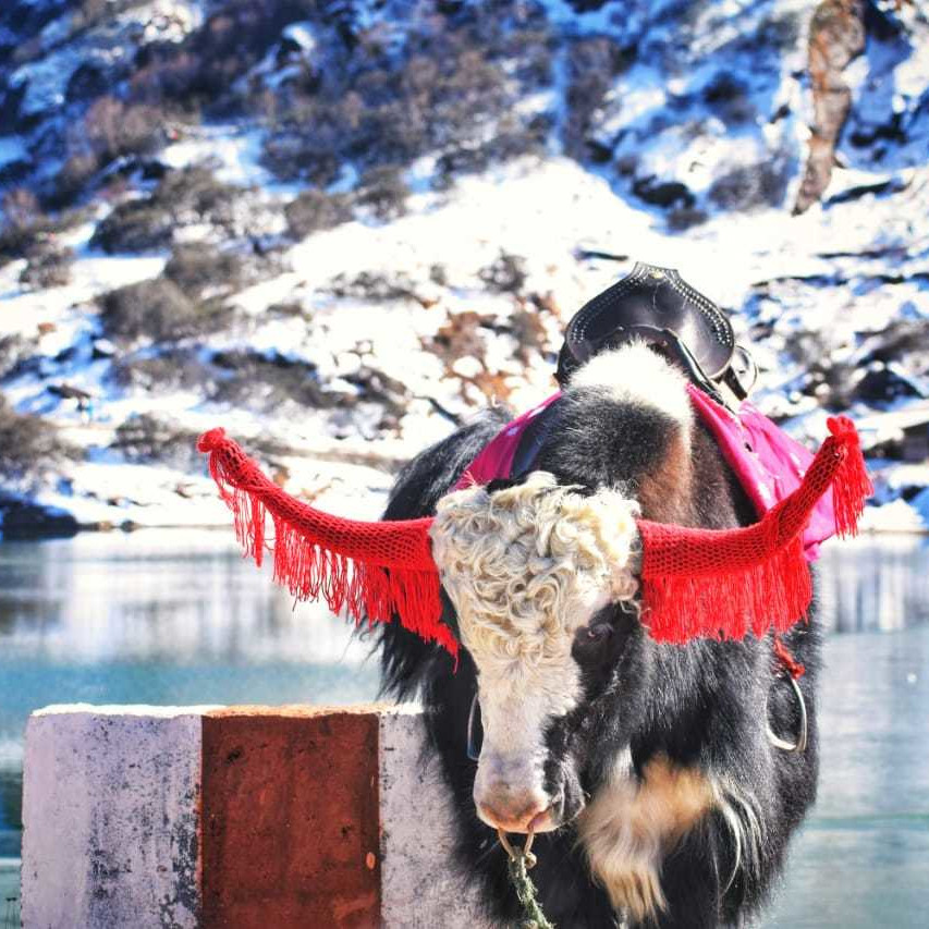 Snowy hill station with tourists on holiday
