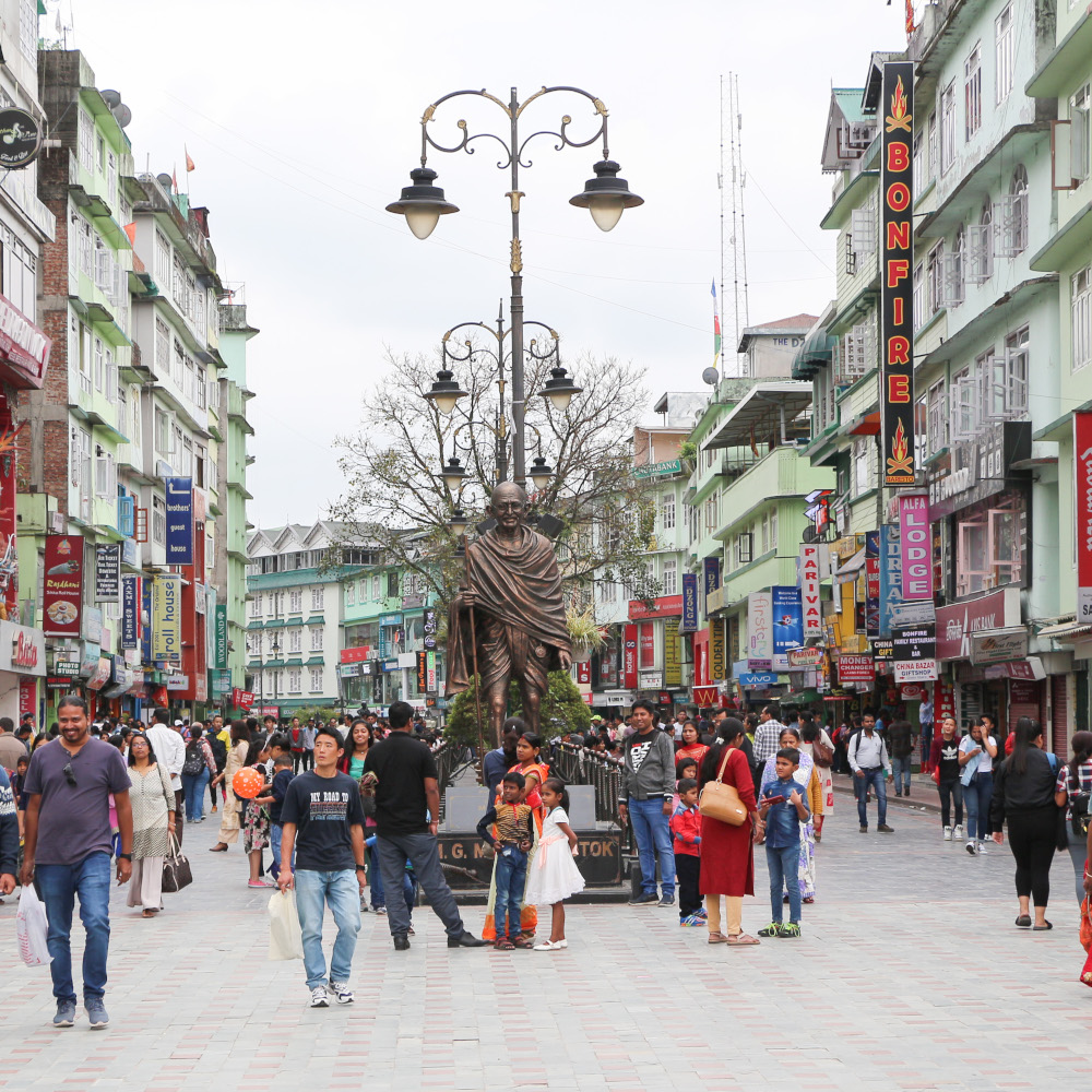 River in pine forest, perfect travel escape