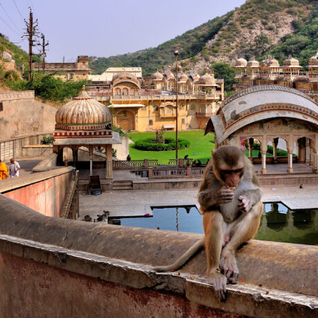 River in pine forest, perfect travel escape