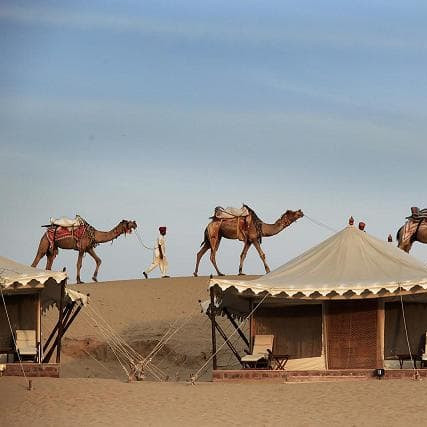 11-Day Rajasthan Heritage & Wildlife Tour with Osian Desert Camp