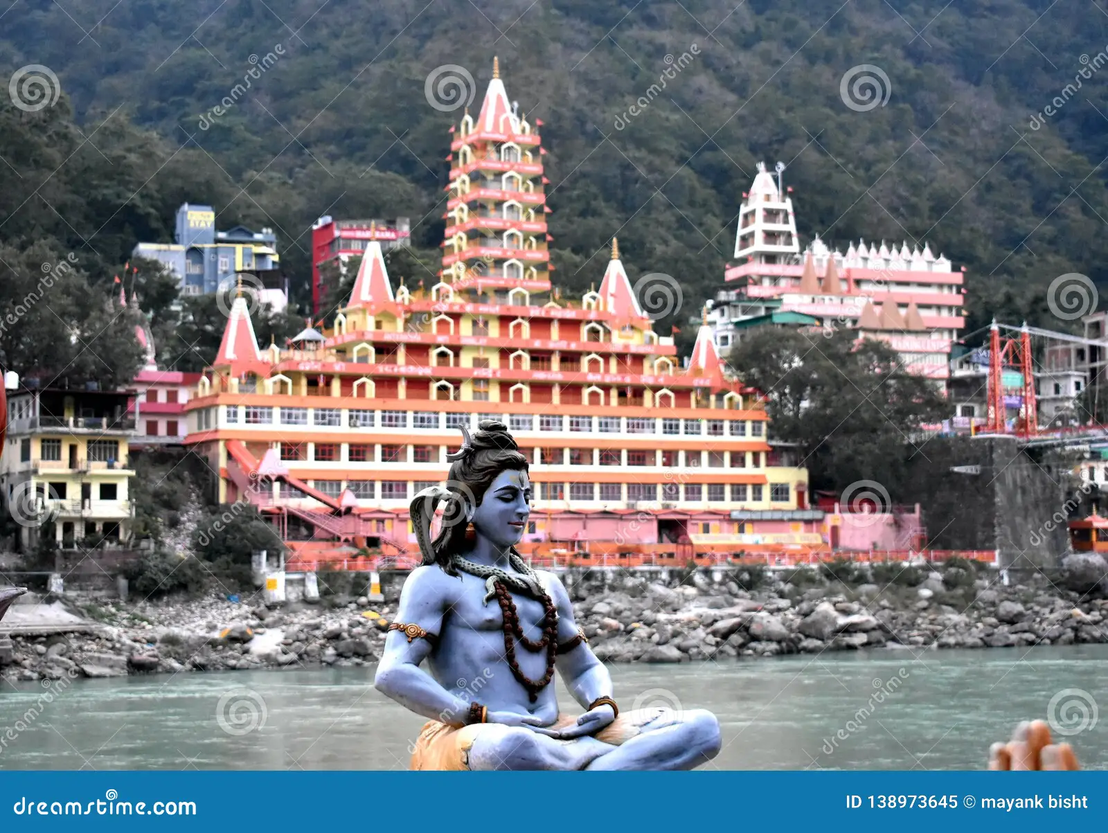 River in pine forest, perfect travel escape